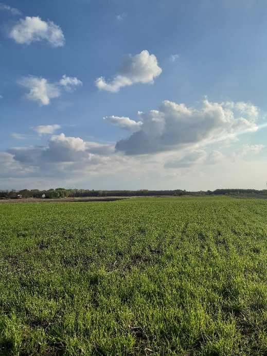 Felsőlajos