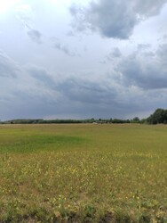 Felsőlajos