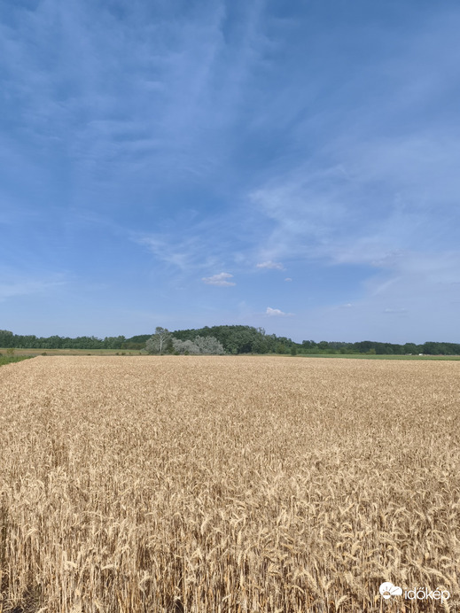 Felsőlajos