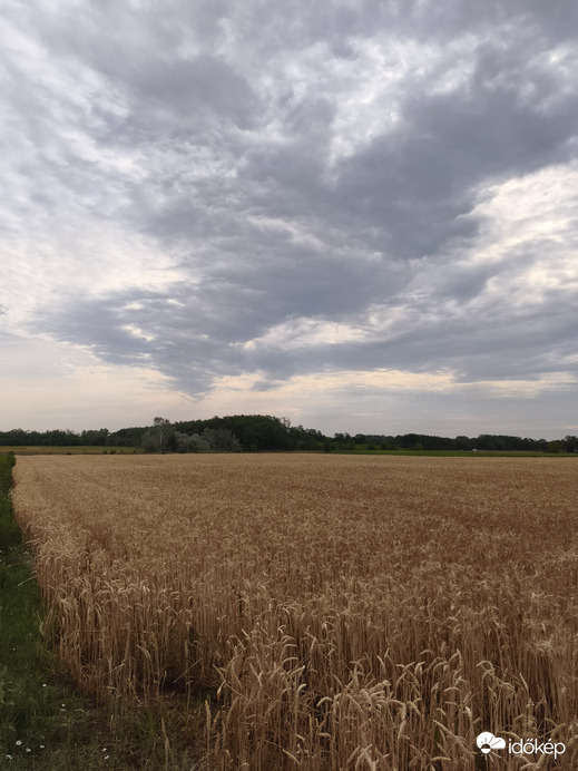 Felsőlajos