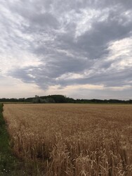 Felsőlajos