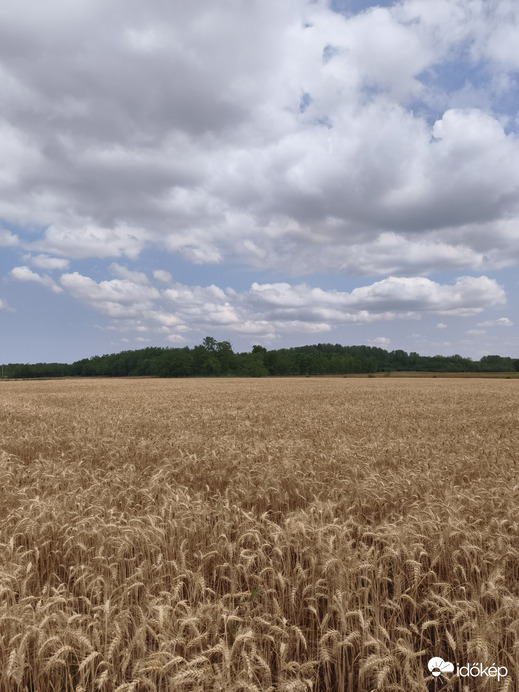 Felsőlajos