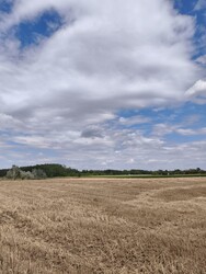 Felsőlajos