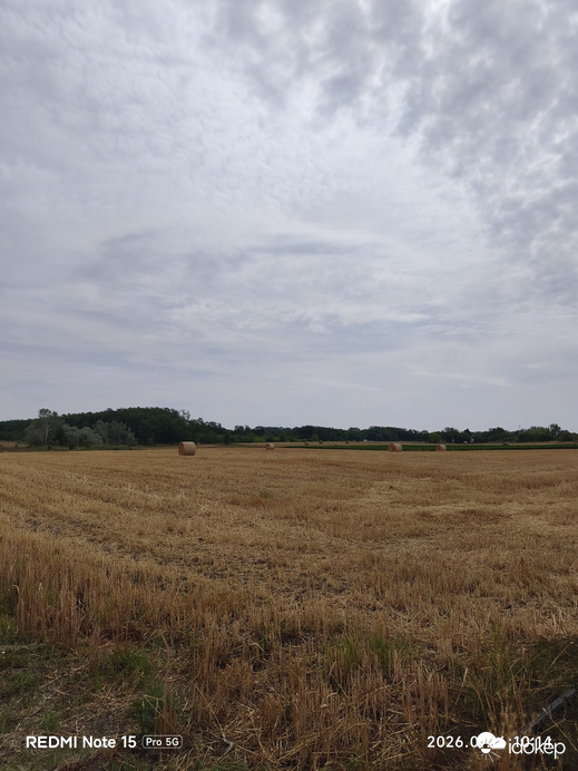 Felsőlajos