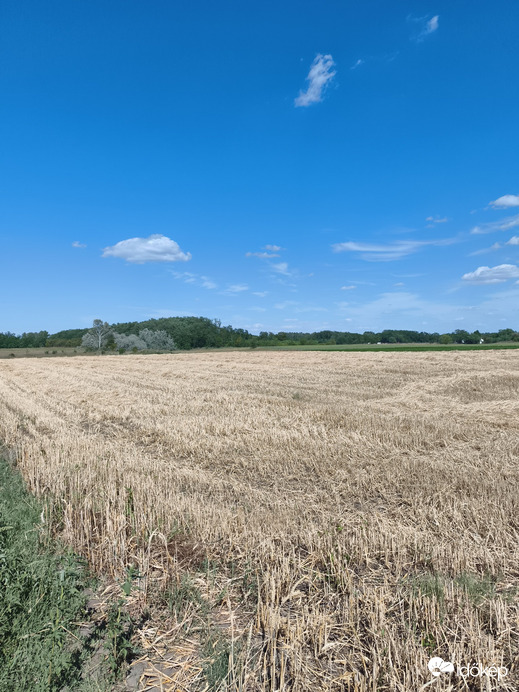 Felsőlajos
