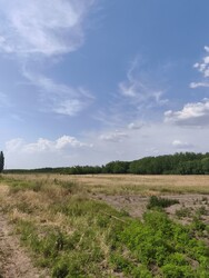 Felsőlajos
