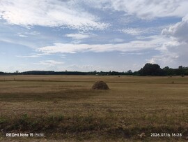 Felsőlajos