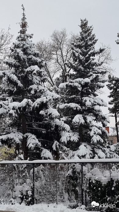 Budapest II.ker - Pasarét