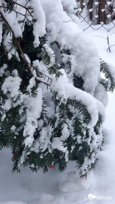 Budapest II.ker - Pasarét