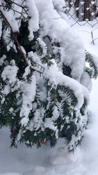 Budapest II.ker - Pasarét