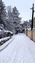 Budapest II.ker - Pasarét