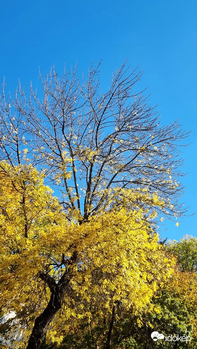 Budapest II.ker - Törökvész