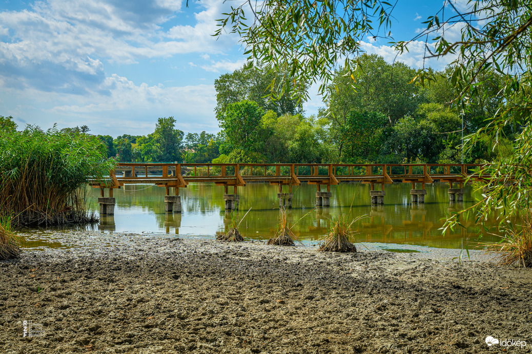 Rendkívüli mértékben lecsökkent a víz a tiszalöki Kis-Tisza holtágában.