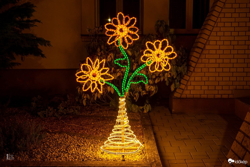 Nem mindennapi látvány van Tiszadada főterén   – ezt látnod kell! 