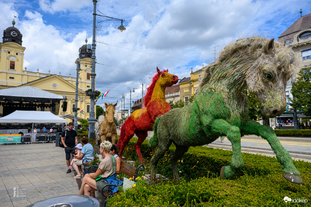 Debreceni Virágkarnevál előtti pillanatok