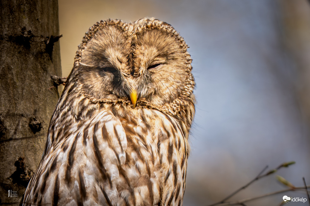 Véletlen lenne? Az erdők világnapján újra találkoztunk…