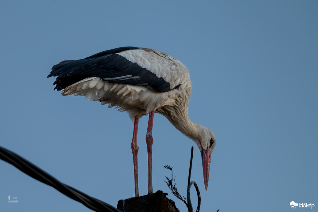 Tényleg itt a tavasz?