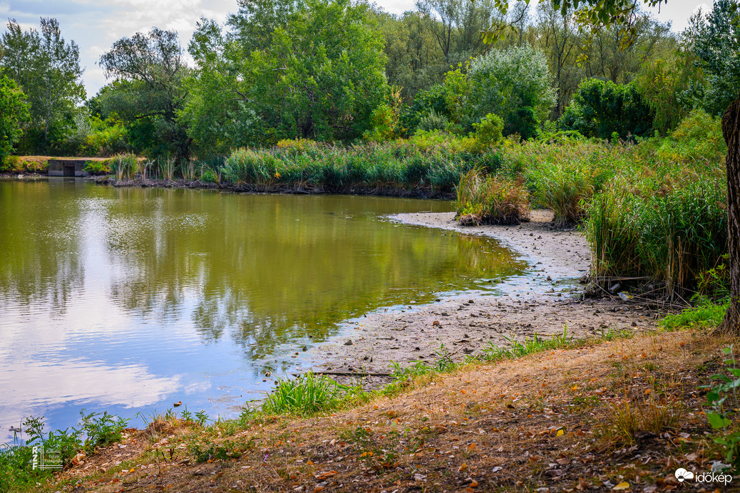 Rendkívüli mértékben lecsökkent a víz a tiszalöki Kis-Tisza holtágában.