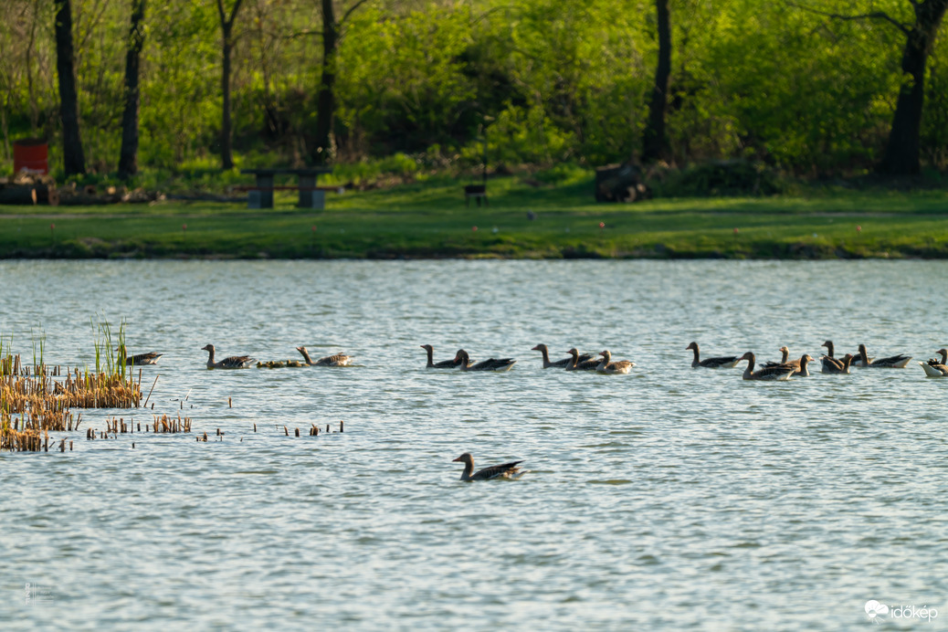 Hat apró csoda a vízen