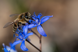 Boldog Nőnapot kívánok előre minden Időképnél dolgozó hölgynek és olvasónak!