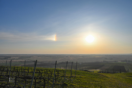 Szivárványos melléknap jelenség a tokaji szőlőtőkék felett a tarcali Szt. Teréz kápolnánál 