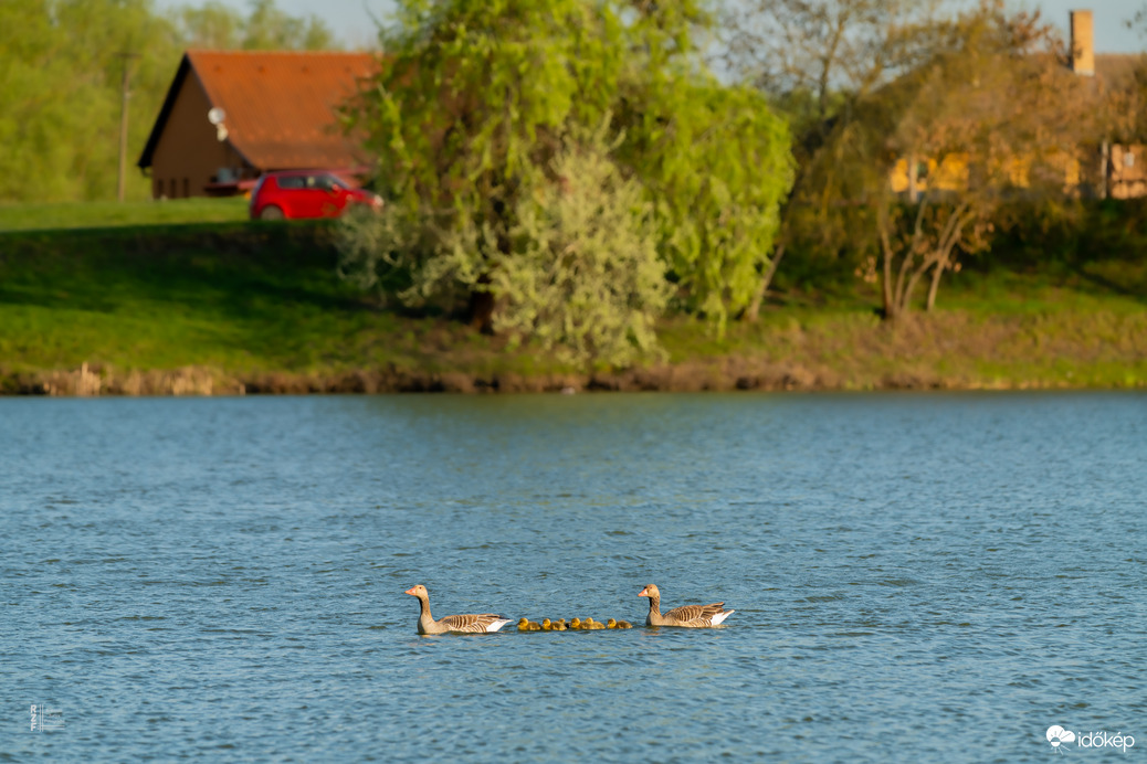 Hat apró csoda a vízen