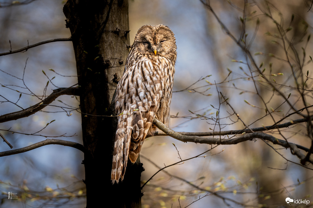 Véletlen lenne? Az erdők világnapján újra találkoztunk…