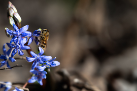 Boldog Nőnapot kívánok előre minden Időképnél dolgozó hölgynek és olvasónak!