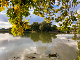 Tiszalök 