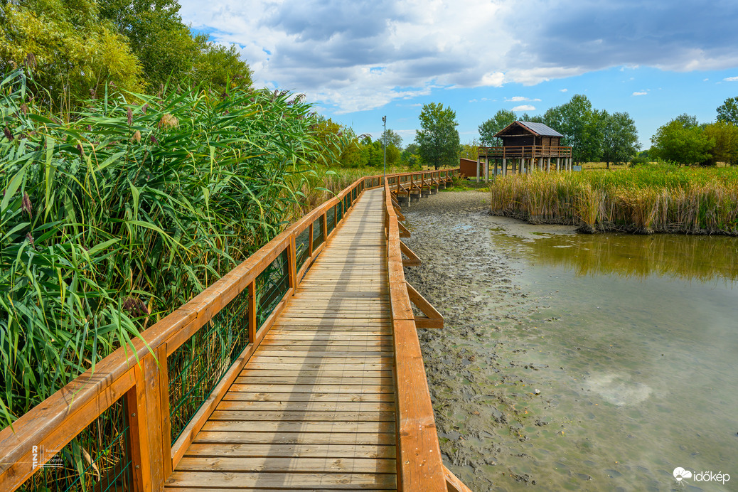 Rendkívüli mértékben lecsökkent a víz a tiszalöki Kis-Tisza holtágában.