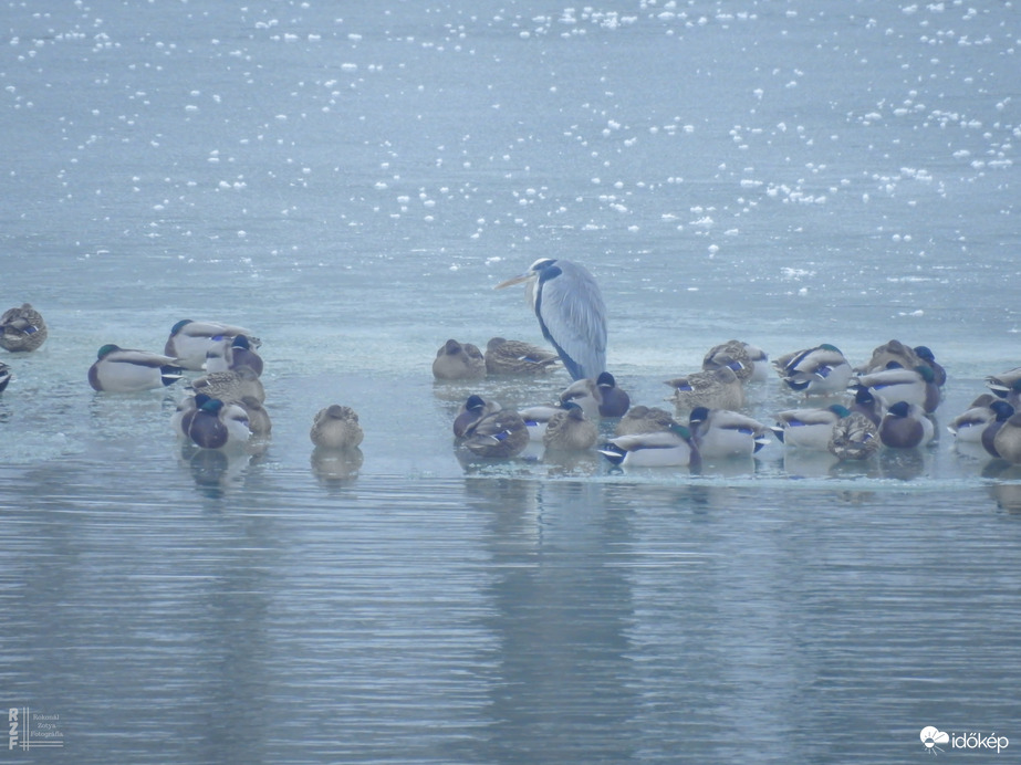 Befagyás alatt a Tisza a Tiszalöki Vízerőműnél