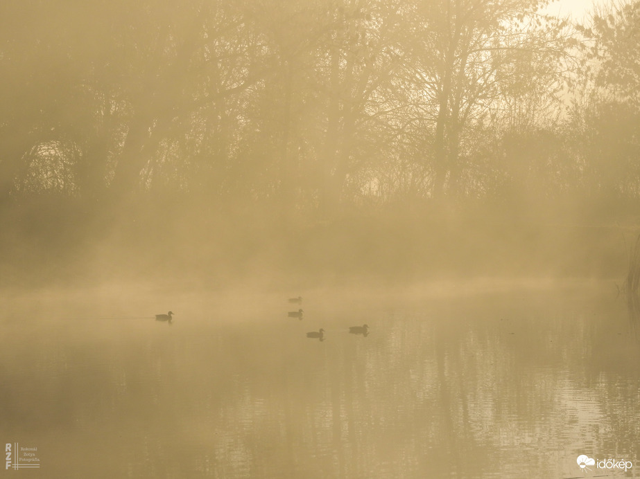 Ködös reggel a tiszalöki Kis-Tiszán