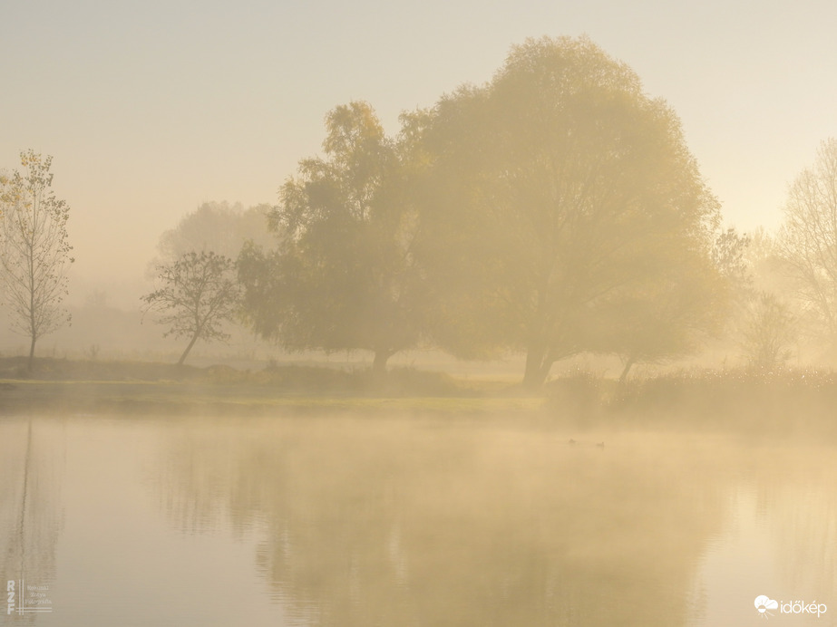 Ködös reggel a tiszalöki Kis-Tiszán