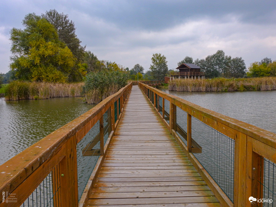 A Kis-Tisza színei ősszel Tiszalökön