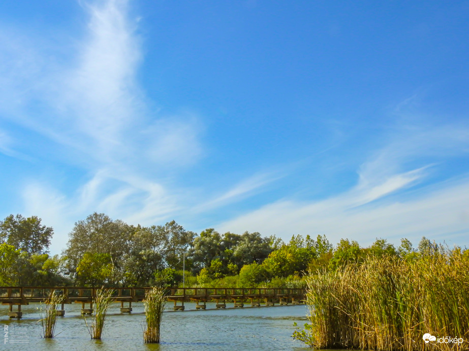 Fátyolos délelőtt Tiszalökön