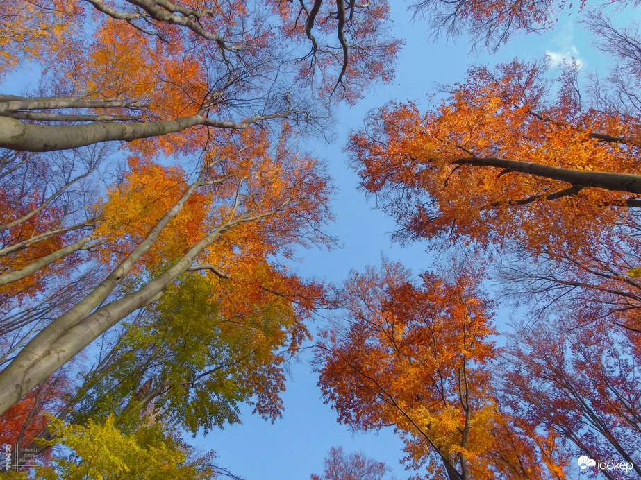 Jártamban, keltemben - erdőn, réten