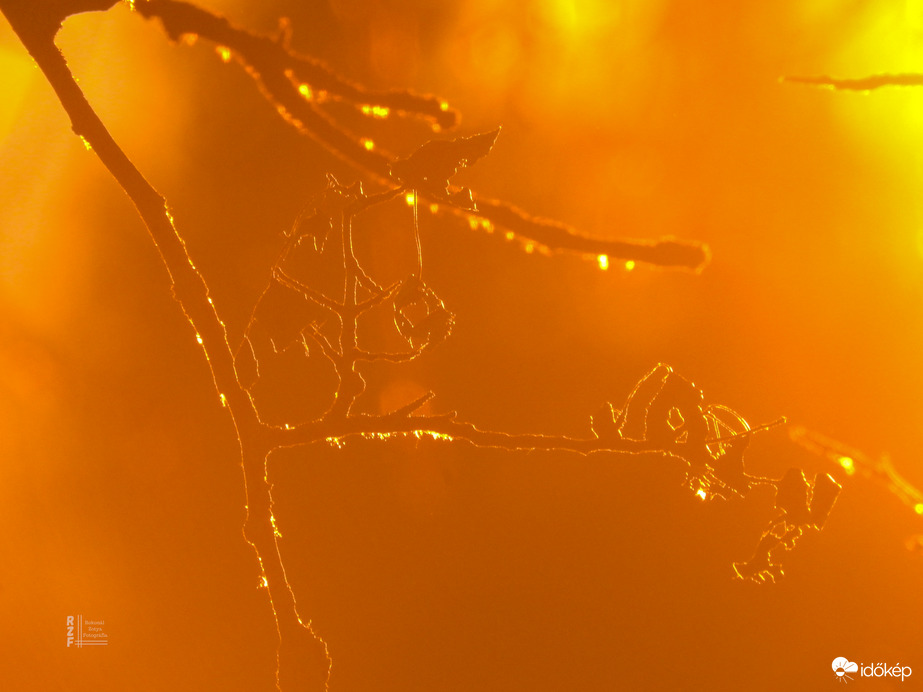 Elbűvölő naplemente a tiszalöki Kis-Tisza holtágnál