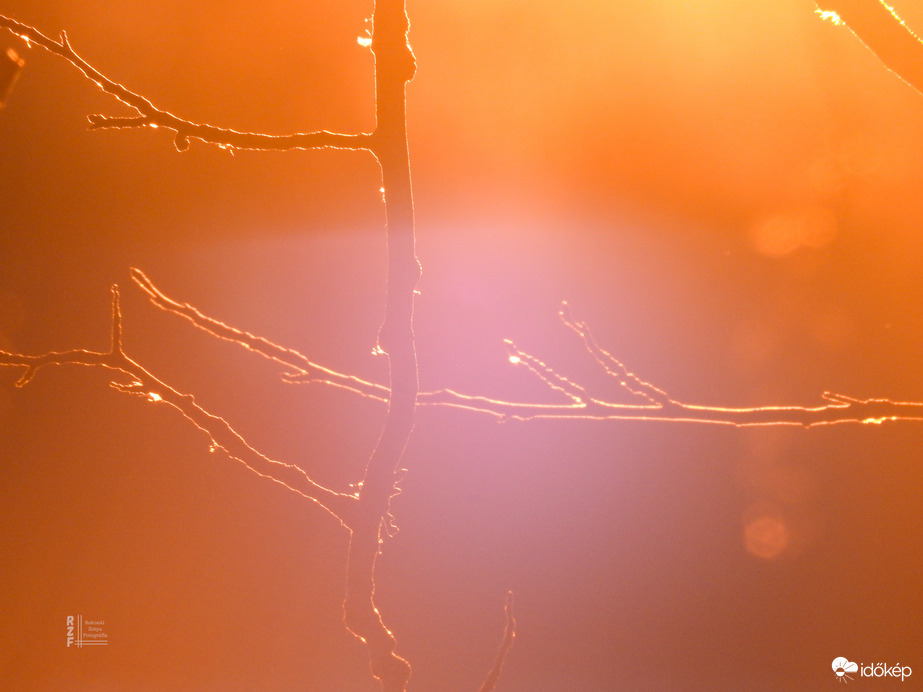 Elbűvölő naplemente a tiszalöki Kis-Tisza holtágnál