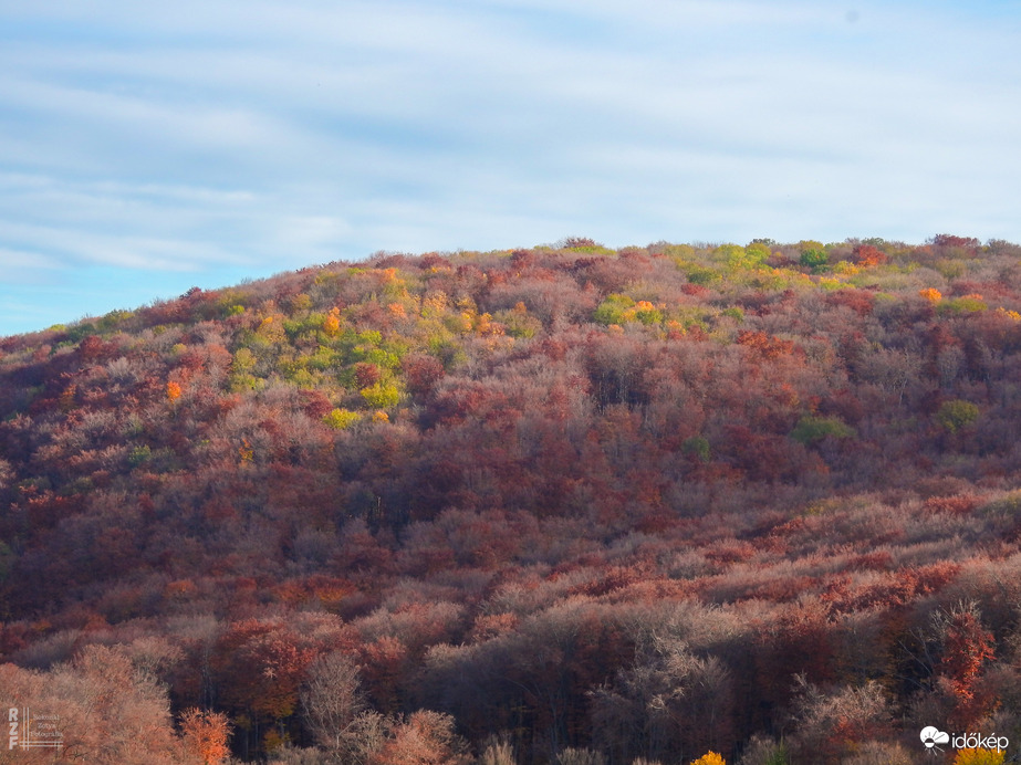 Jártamban, keltemben - erdőn, réten