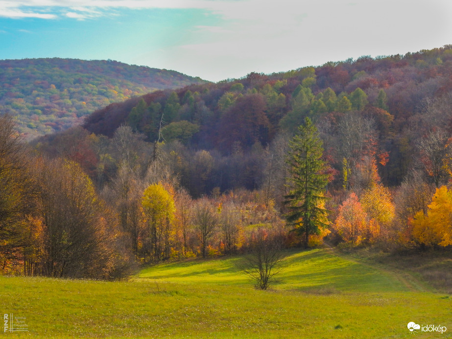 Jártamban, keltemben - erdőn, réten