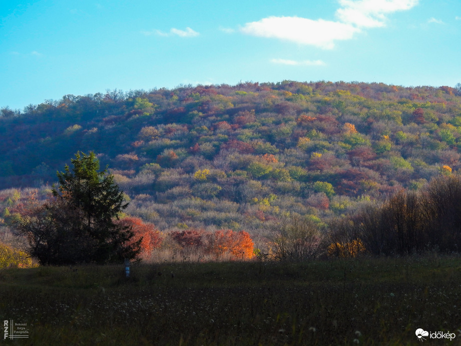 Jártamban, keltemben - erdőn, réten
