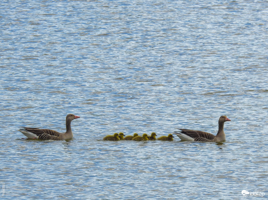 Elindult a "Libasorban" első és második csoportja a Kis-Tisza oviban (Tiszalök)