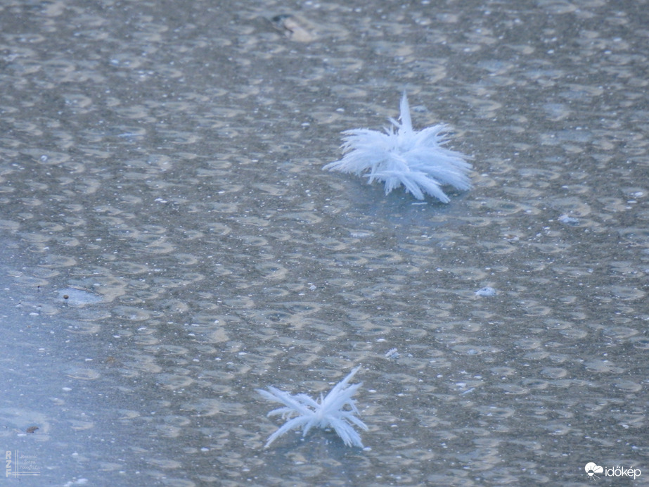 Nem mindennapi fagyvirágok nyílnak a Kis-Tiszán