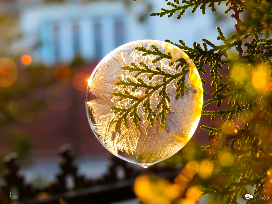 A tél álma egy buborékban