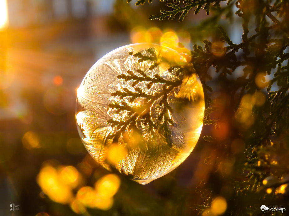 A tél álma egy buborékban