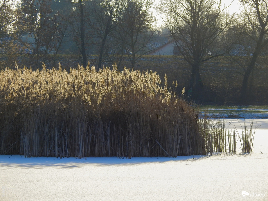 Napsütötte Tiszalök