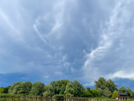 Mammatus