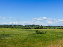 Tiszalök 