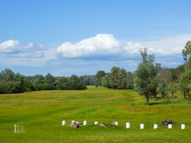 Tiszalök 
