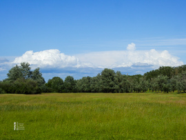 Tiszalök 